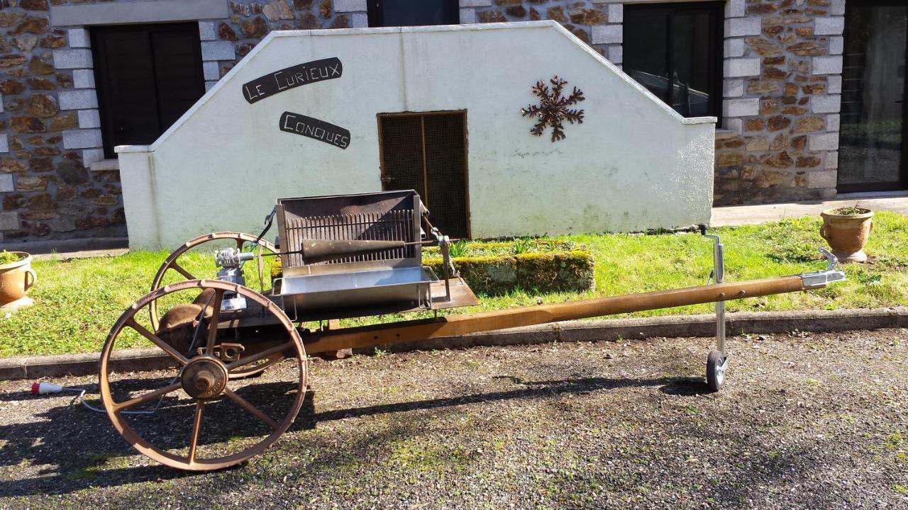 Le Curieux De Conques Bed and Breakfast Saint-Cyprien-sur-Dourdou Exteriör bild