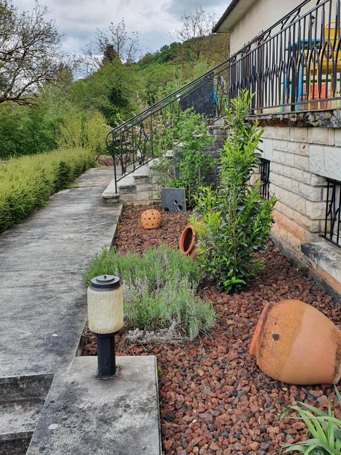 Le Curieux De Conques Bed and Breakfast Saint-Cyprien-sur-Dourdou Exteriör bild