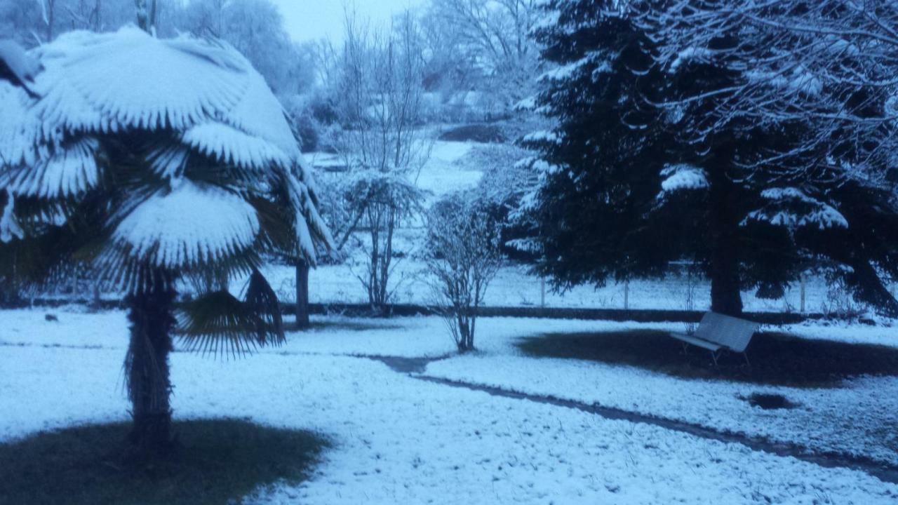 Le Curieux De Conques Bed and Breakfast Saint-Cyprien-sur-Dourdou Exteriör bild