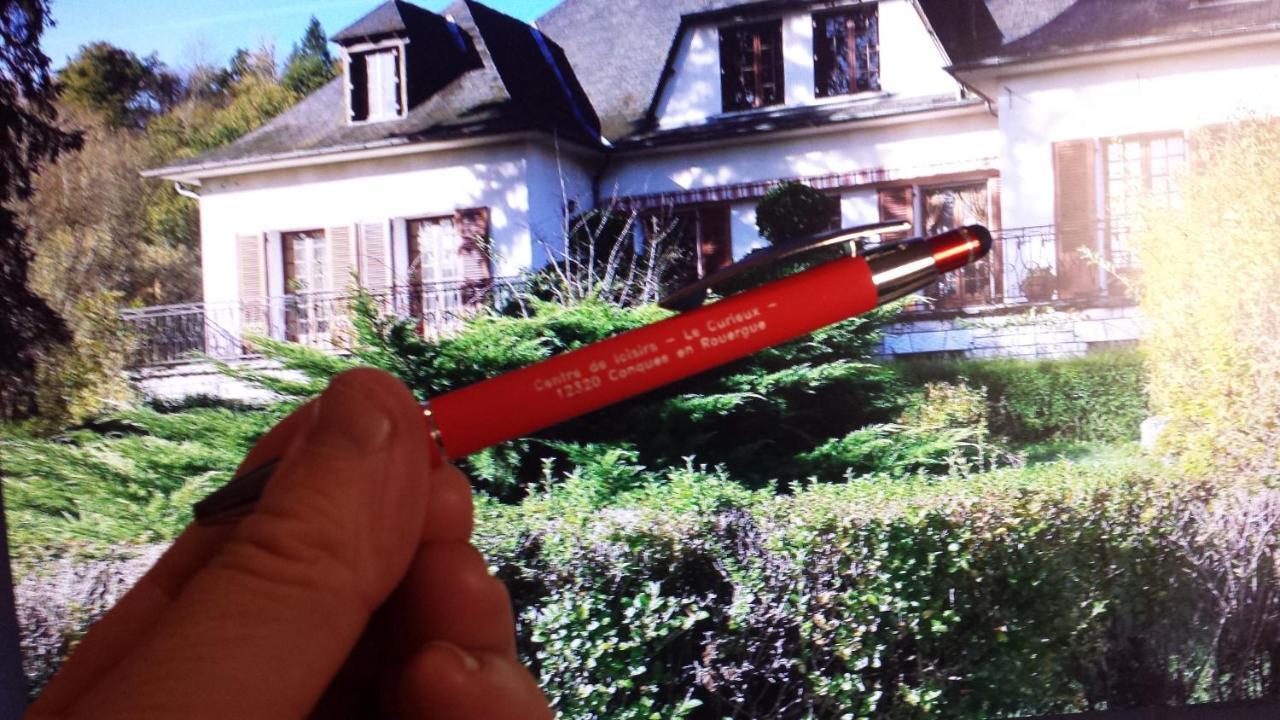 Le Curieux De Conques Bed and Breakfast Saint-Cyprien-sur-Dourdou Exteriör bild