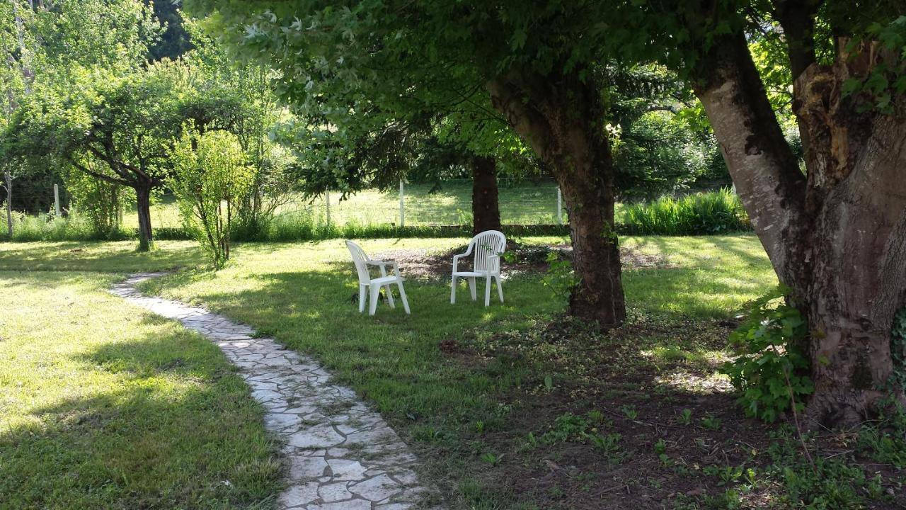 Le Curieux De Conques Bed and Breakfast Saint-Cyprien-sur-Dourdou Exteriör bild