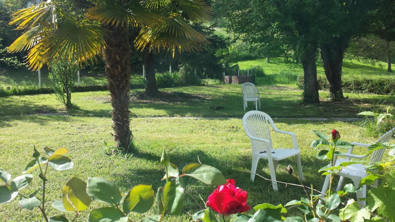 Le Curieux De Conques Bed and Breakfast Saint-Cyprien-sur-Dourdou Exteriör bild